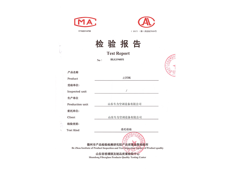 止回阀检验报告